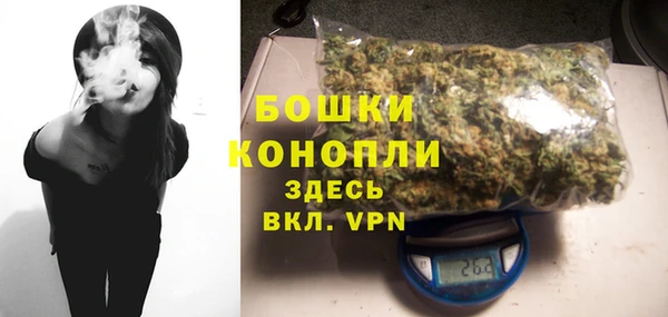 ГАЛЛЮЦИНОГЕННЫЕ ГРИБЫ Чекалин