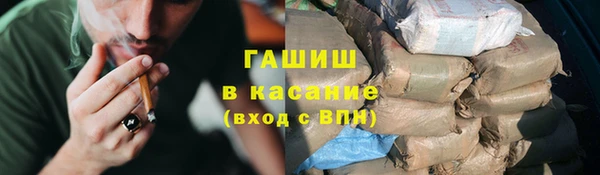 ГАЛЛЮЦИНОГЕННЫЕ ГРИБЫ Чекалин