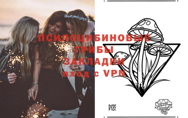 прущий лед Дмитров