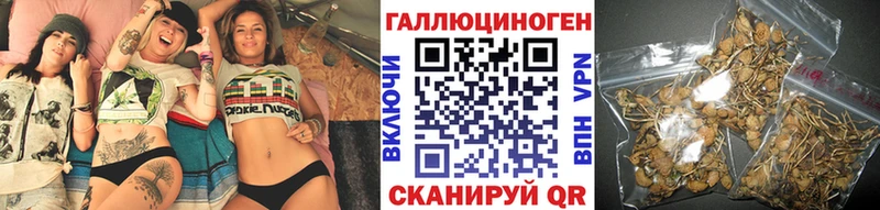 Купить  Поронайск  Псилоцибиновые грибы Psilocybine cubensis 